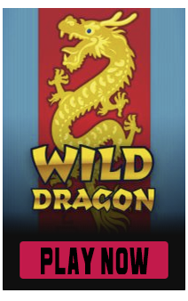 wild dragon slot