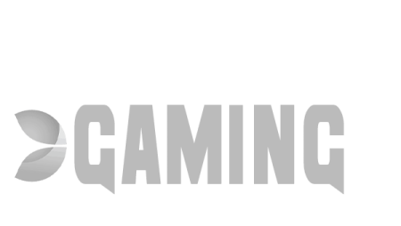 Evolution Gaming icon