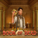 Book of Dead Game Review