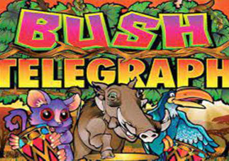 Bush Telegraph Game Review